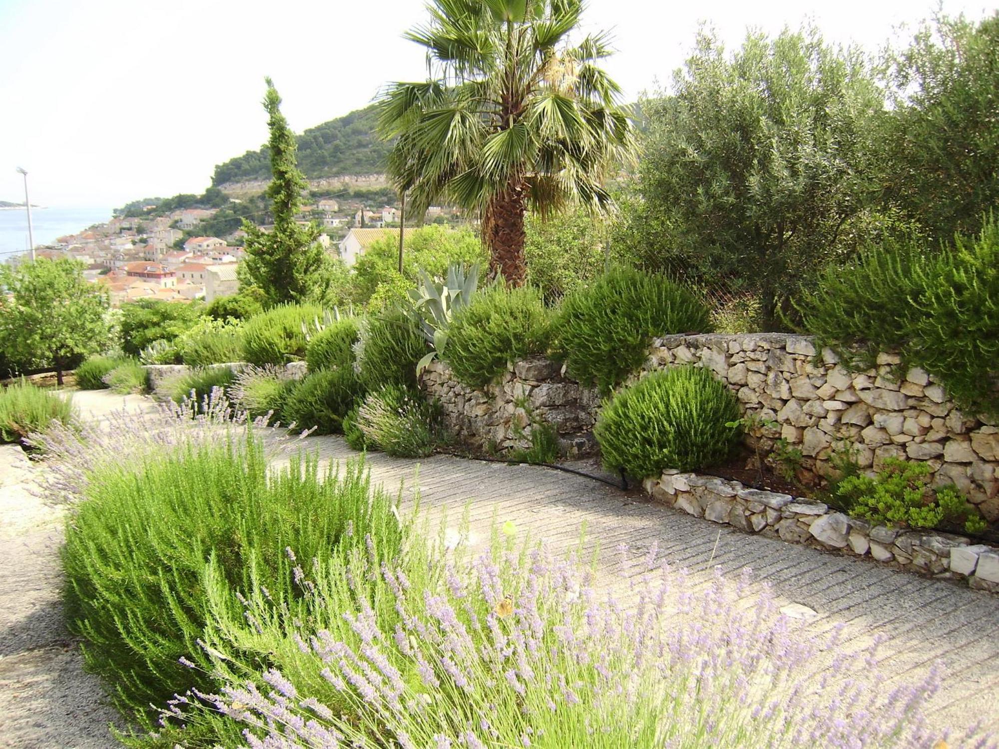 Villa Kate Vis Buitenkant foto