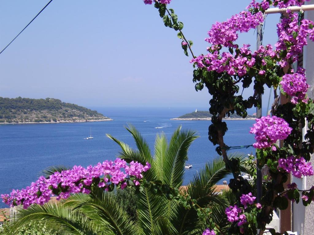 Villa Kate Vis Kamer foto